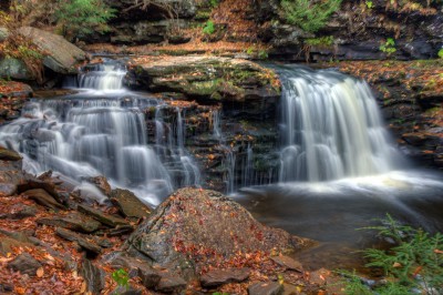 Cayuga Falls at Ricketts Glen State Park.