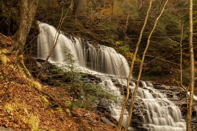 Mohawk Falls at Ricketts Glen State Park
