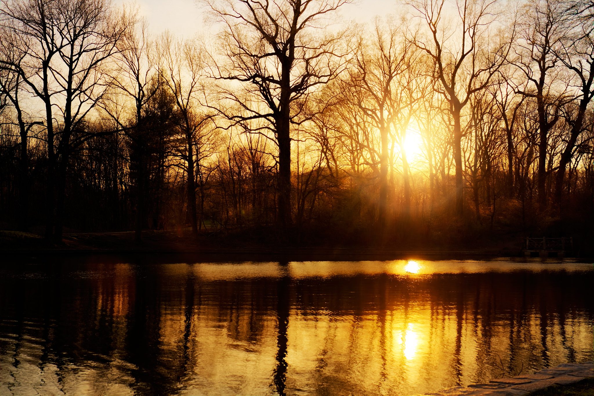 Shot at Prospect Park during the "golden hour."