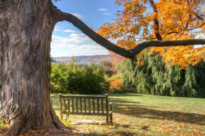 A peaceful bench to sit and read in the autumn at Wave Hill, Bronx, NY